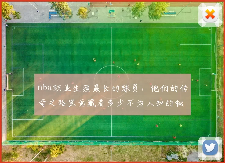 nba职业生涯最长的球员,他们的传奇之路究竟藏着多少不为人知的秘密?