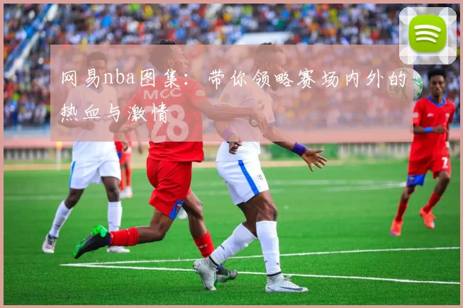 网易nba图集:带你领略赛场内外的热血与激情