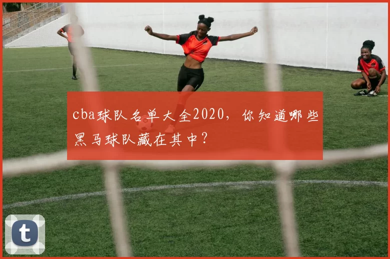cba球队名单大全2020,你知道哪些黑马球队藏在其中?