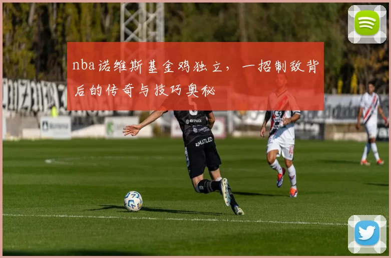 nba诺维斯基金鸡独立,一招制敌背后的传奇与技巧奥秘
