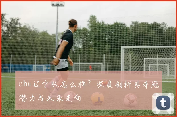 cba辽宁队怎么样？深度剖析其夺冠潜力与未来走向