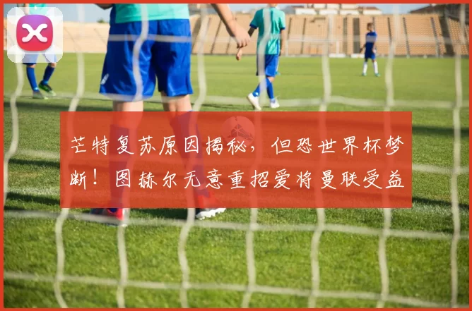 芒特复苏原因揭秘，但恐世界杯梦断！图赫尔无意重招爱将曼联受益