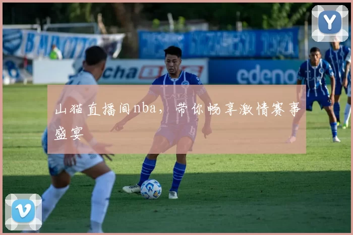 山猫直播间nba,带你畅享激情赛事盛宴
