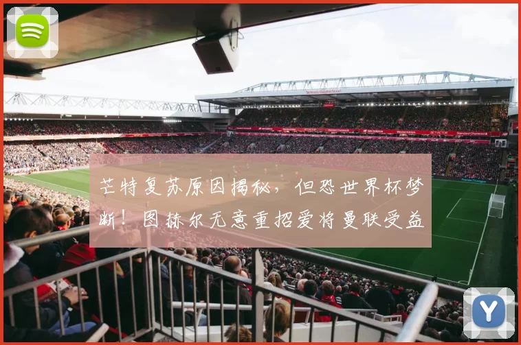 芒特复苏原因揭秘，但恐世界杯梦断！图赫尔无意重招爱将曼联受益