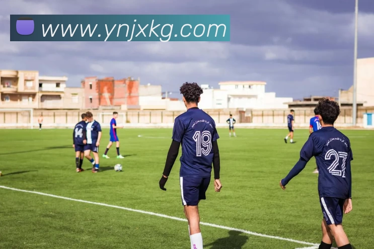 开云(中国)Kaiyun·官方网站 - 登录入口平台生态图